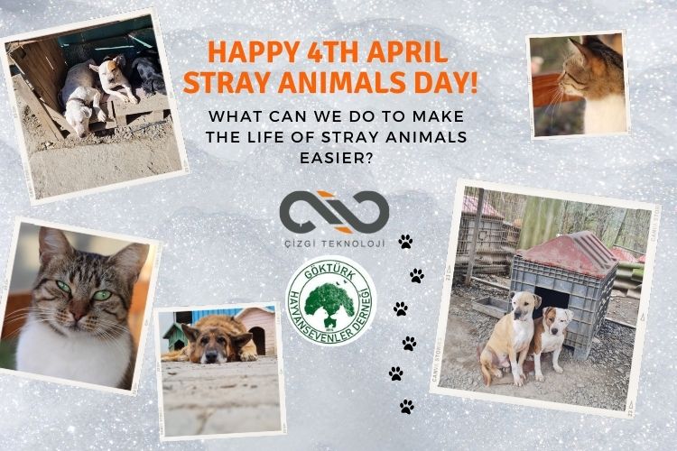 Happy 4th April Stray Animals Day!